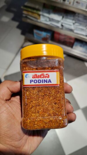 Podina